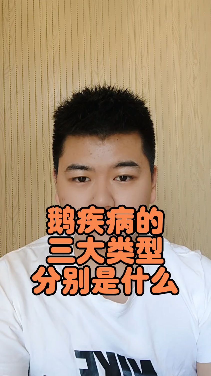 #鹅的常见病症状及其治疗鹅的病症有哪些鹅的常见疾病有哪些鹅的疾病种类有哪些