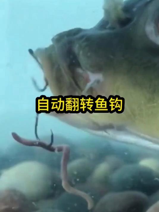 翻转鱼钩能自动刺鱼吗?吃了吐不掉是真的吗?水下测试揭秘真相