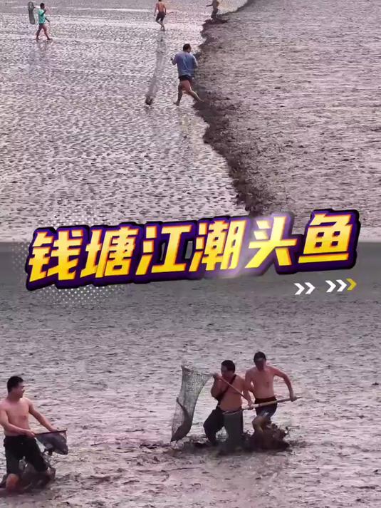 中国十大奇观之一，钱塘江捞鱼记第一集
