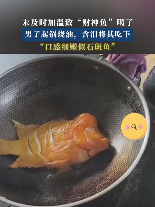 未及时加温致“财神鱼”噶了,男子起锅烧油