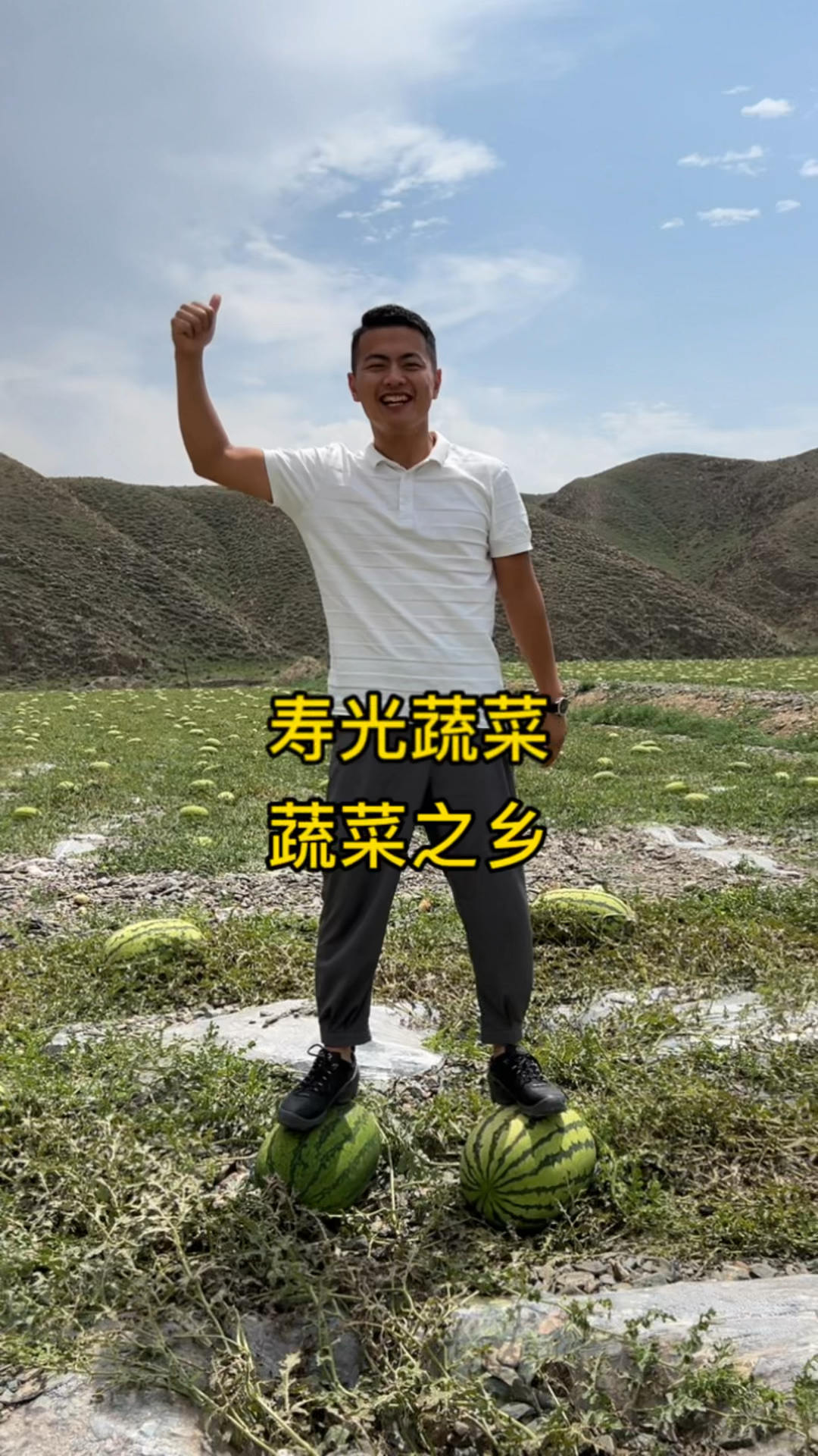 在寿光每个大棚都是一个植物工厂