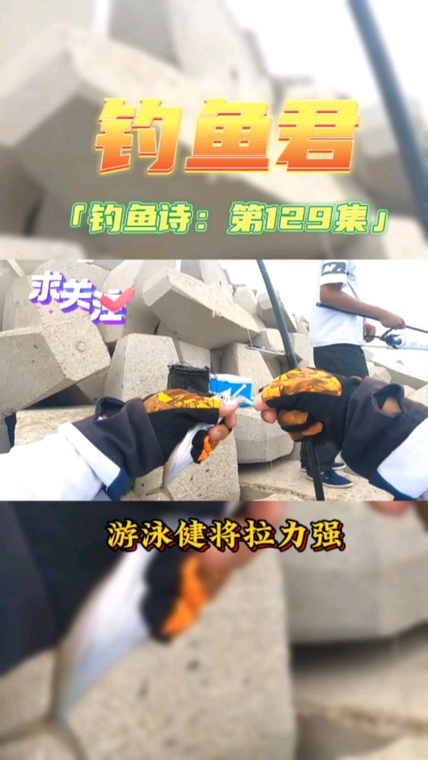 钓鱼君之钓鱼口诀:第129集(钓鲅鱼)鱼类百科,各位钓过此鱼吗