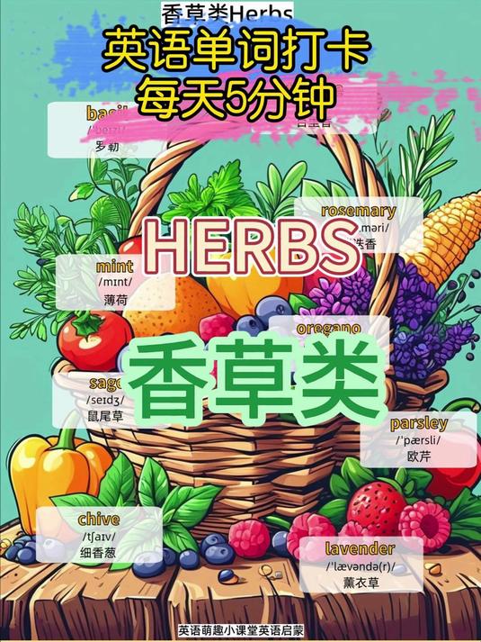 英语单词打卡香草类 每天 5 分钟