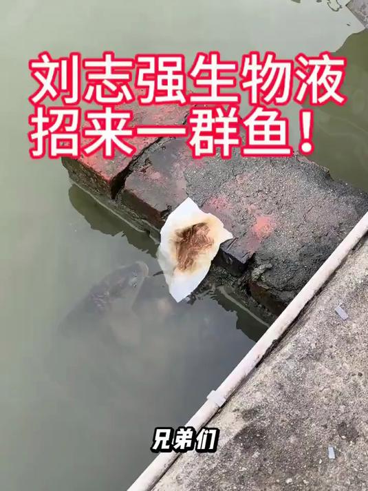 一知鱼垂钓添加剂生物液100毫升 钓鱼人