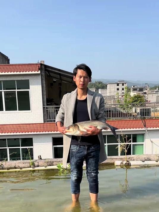 钓鱼养鱼，是一场囚禁自由的游戏