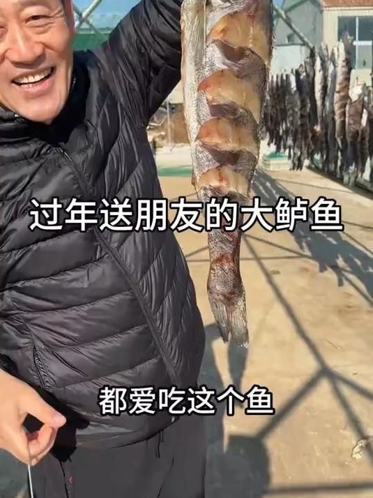 干净不腥,蒸完肉嫩,蘸酱油下饭,味道正宗。#海鲈鱼干
