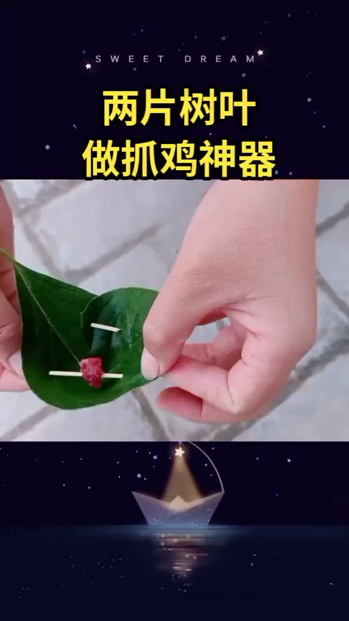 两片树叶。制作抓鸡神器