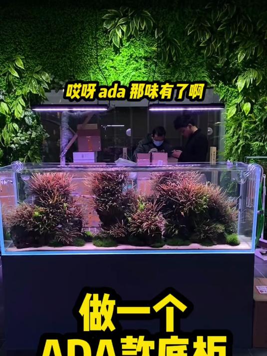 做一个ADA款底柜