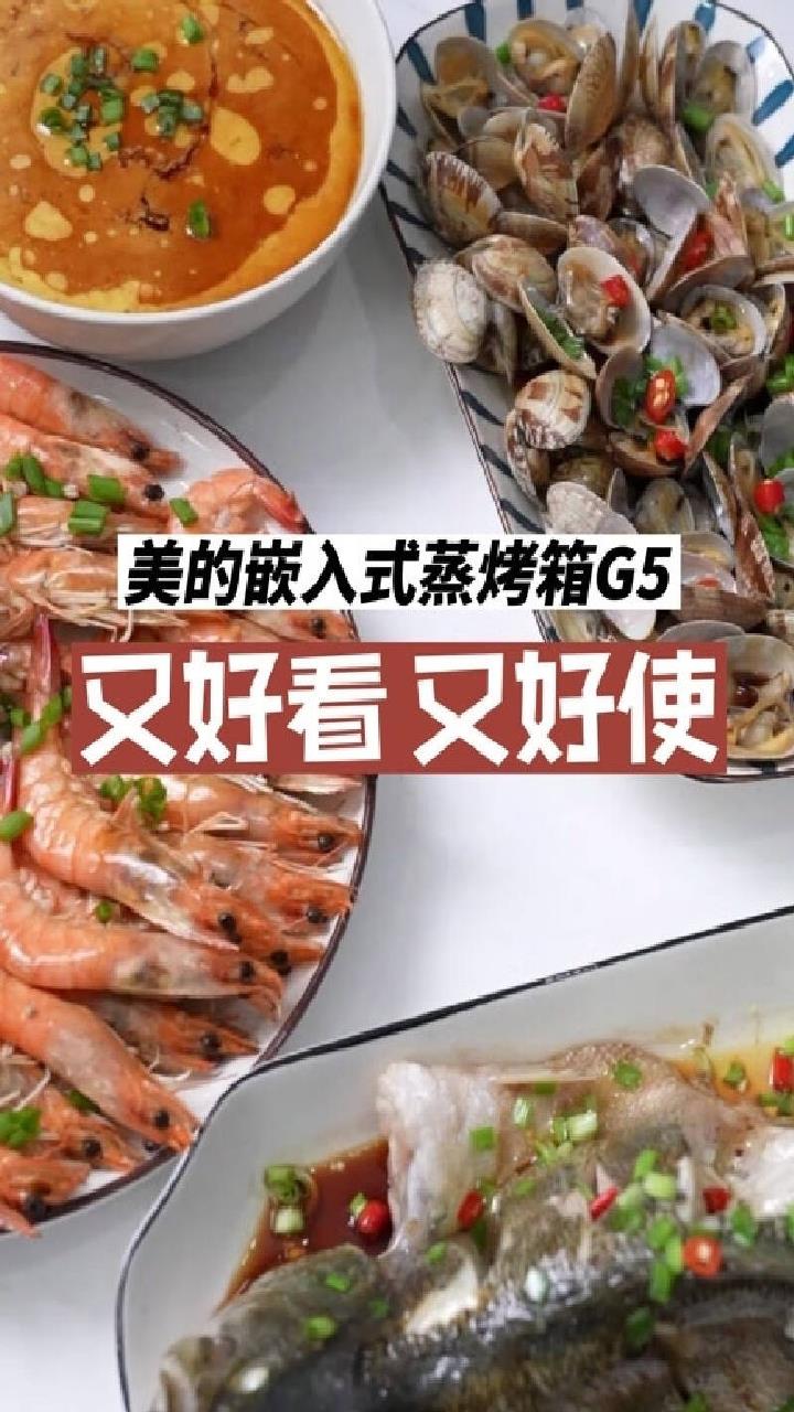 美的(Midea)微蒸烤炸一体机嵌入式G5蒸烤箱