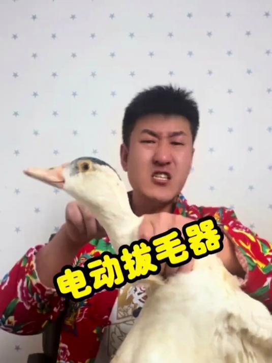 拔毛器神器!鸡鸭鹅毛轻松拔净,99% 的人还不知道超省力