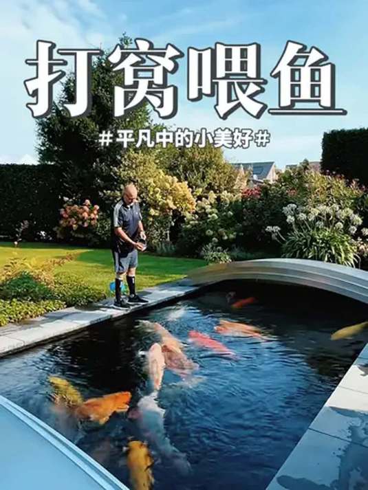 庭院鱼池钓鱼打窝,高蛋白鱼粮通用,锦鲤爱吃