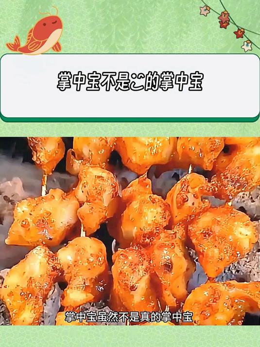 到底哪里才是真正的掌中宝啊!