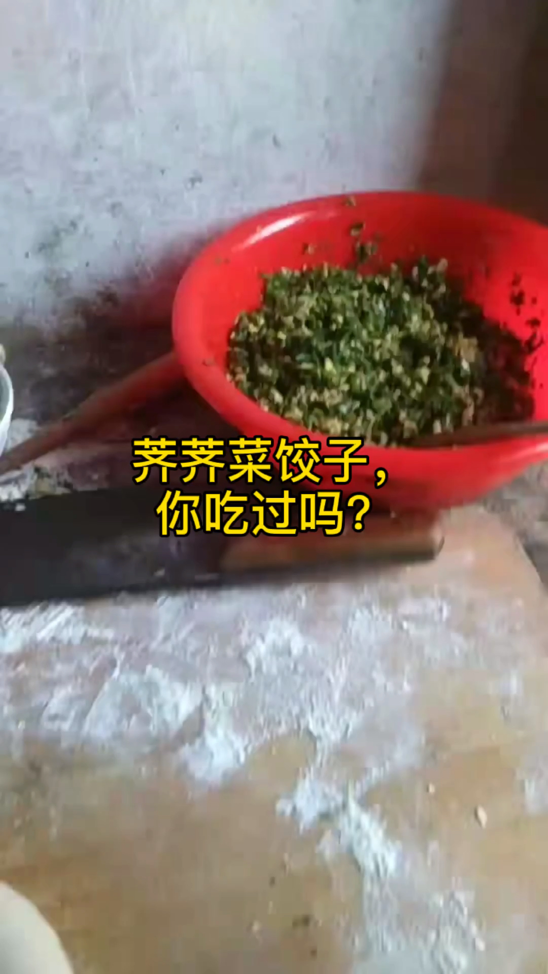 春天到了,地里野菜多了,荠荠菜饺子你吃过吗?