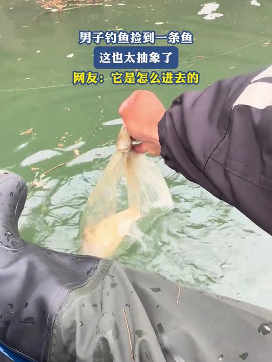 男子钓鱼捡到一条鱼,这也太抽象了,网友:它是怎么进去的