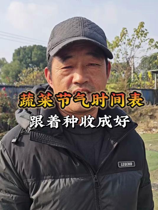 蔬菜种菜节气表，跟着种收成好