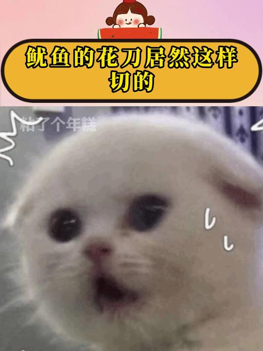 鱿鱼的花刀居然这样切的