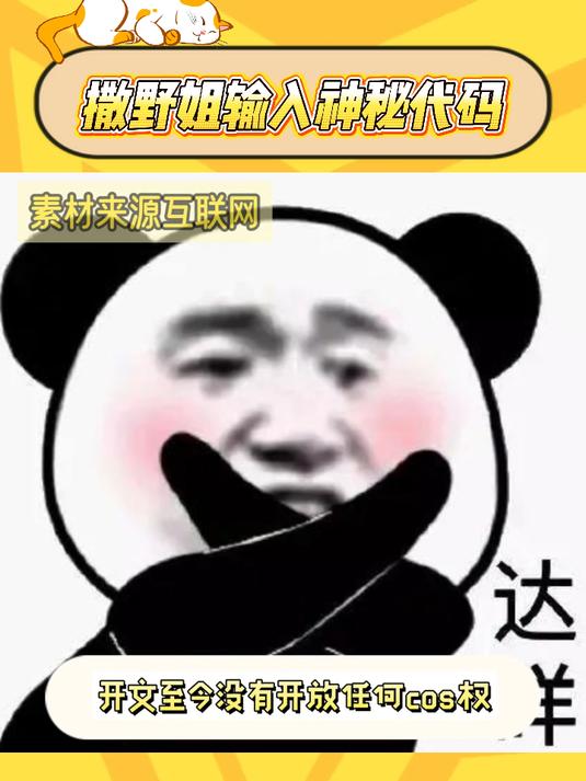 撒野姐不语,撒野姐只是一味的输入神秘代码……