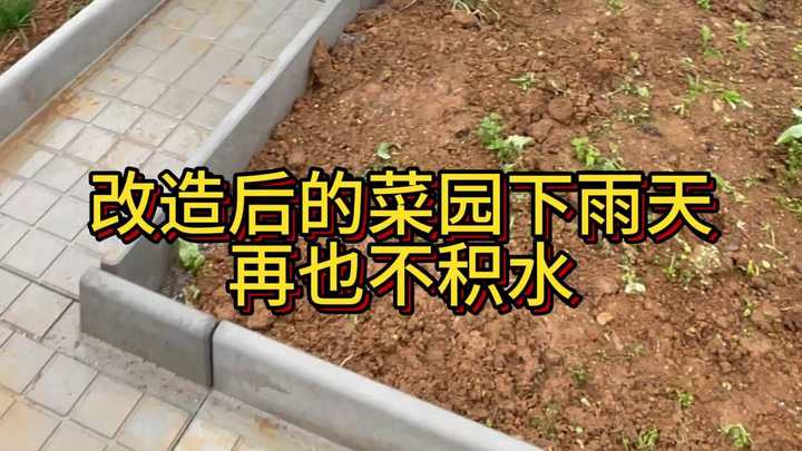 菜园改造前后大对比