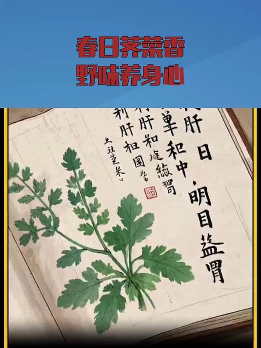 春日荠菜香,野味养身心