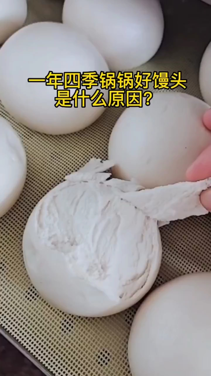 半自动馒头机 馒头机流水线