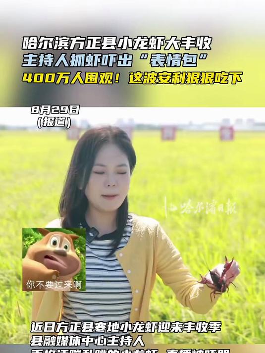 哈尔滨方正县小龙虾大丰收，主持人抓虾吓出“表情包”！400万人围观！这波安利狠狠吃下