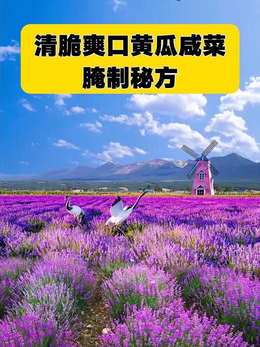 清脆爽口黄瓜咸菜腌制秘方