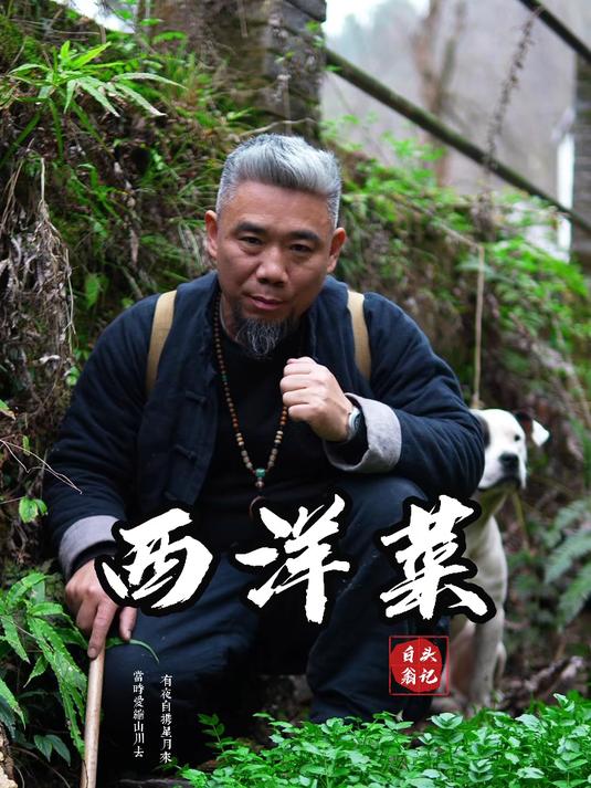 寻草之西洋菜 那些每月不开心的小姐姐,学到了吗?