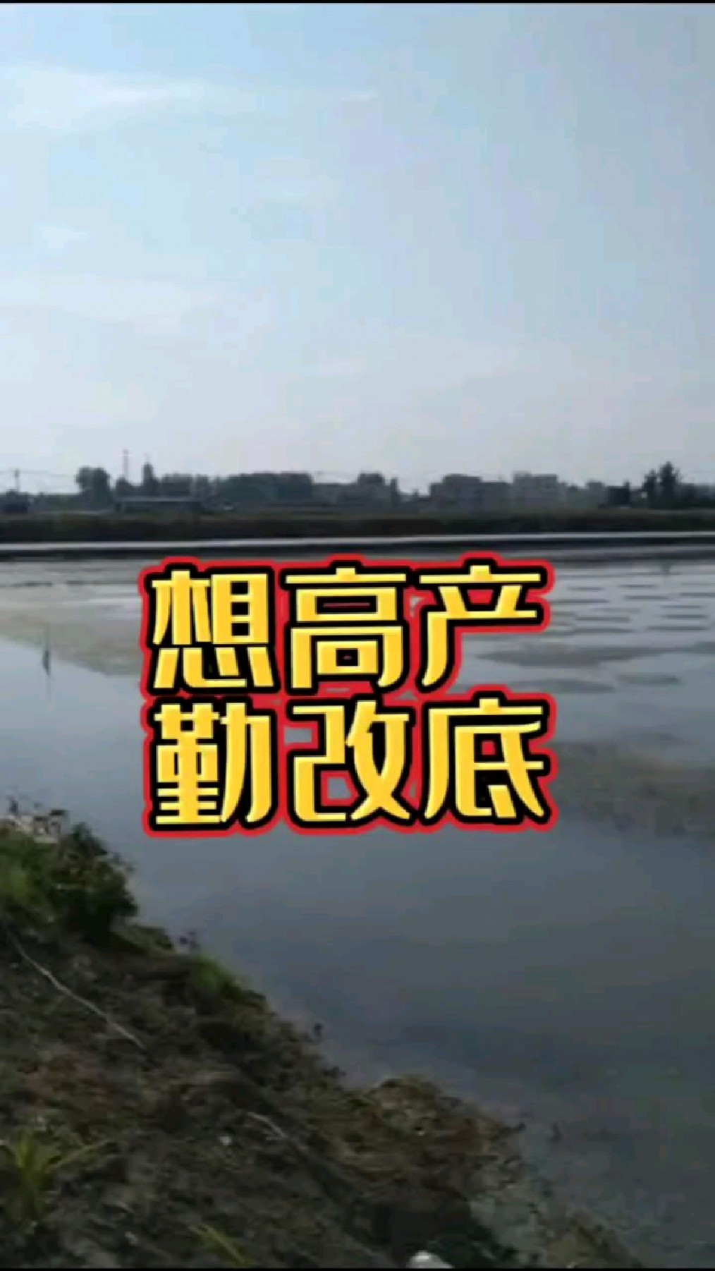 想高产,勤改底