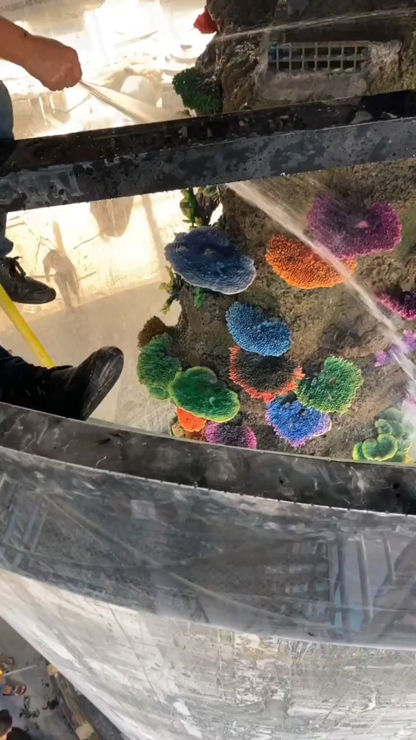 大型圆柱亚克力鱼缸造景清洗