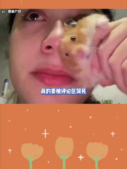 二次元的悲伤,三次元治愈了它 深度 章鱼噼的原罪 二次元