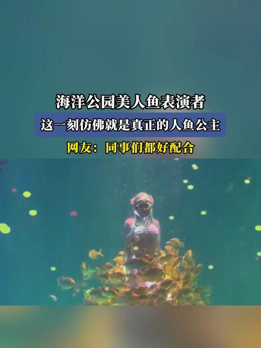 海洋公园美人鱼表演者,这一刻仿佛就是真正的人鱼公主
