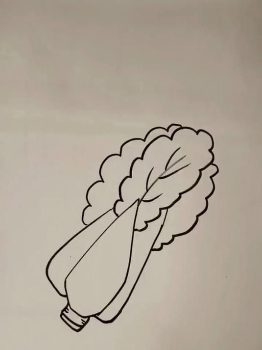 简笔画教程——小白菜