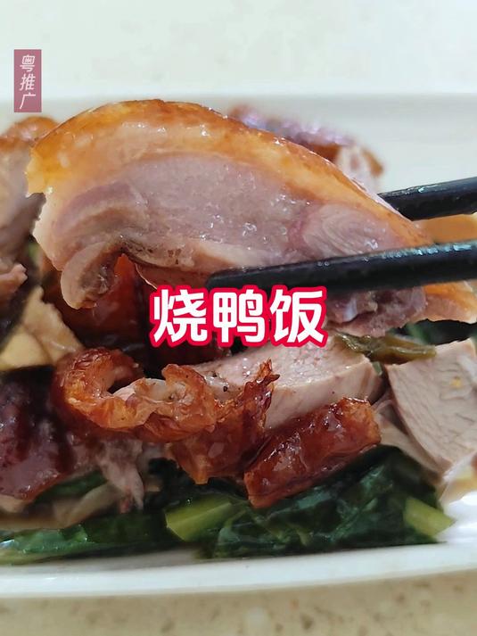 罗定13元一份的烧鸭饭,你食过吗?