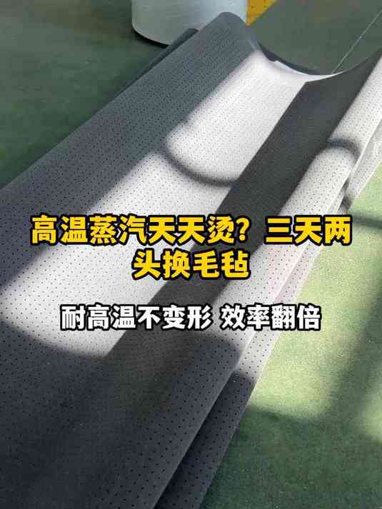 高温蒸汽天天烫？三天两头换毛毡