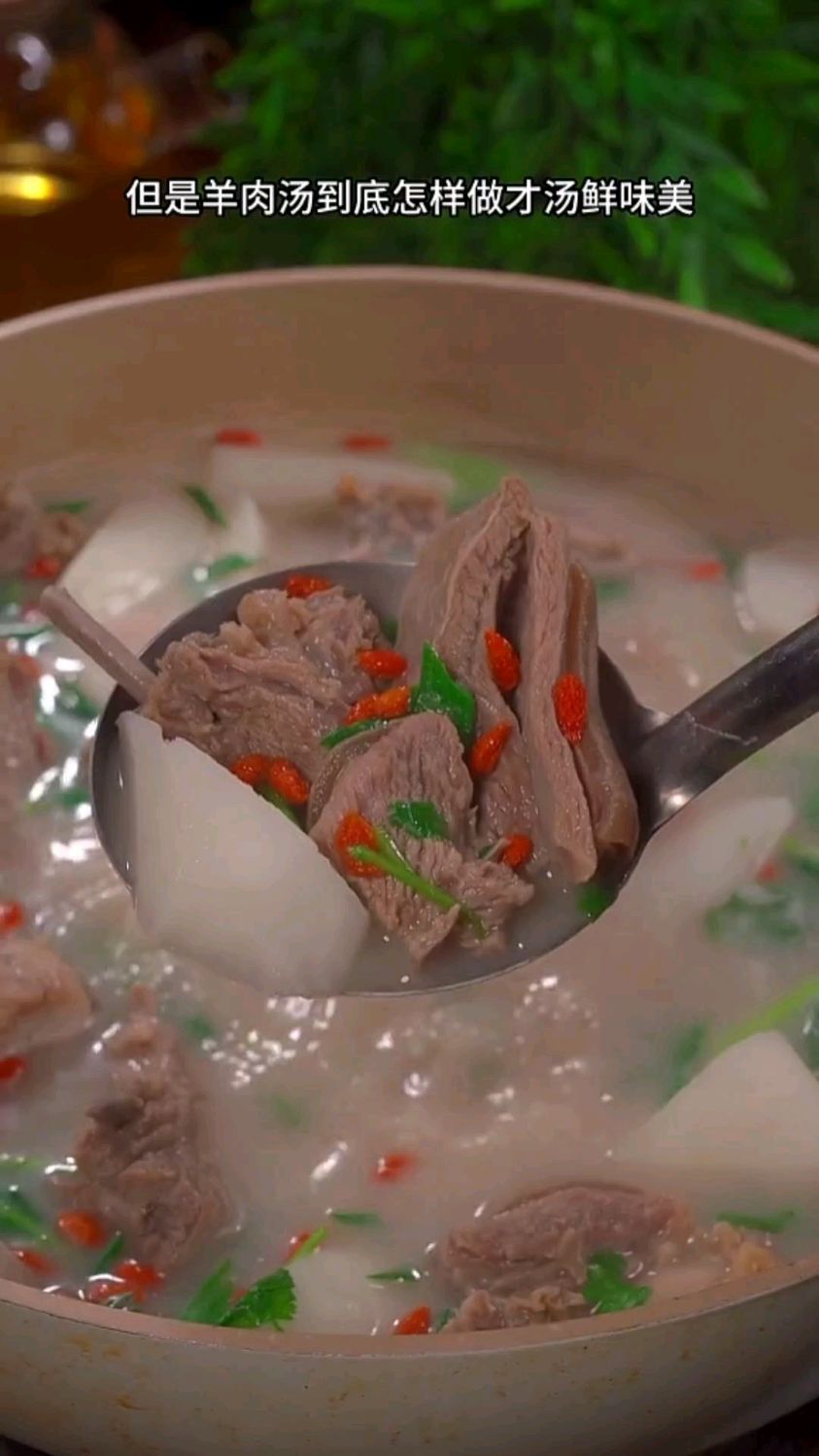 炖羊肉汤家常做法
