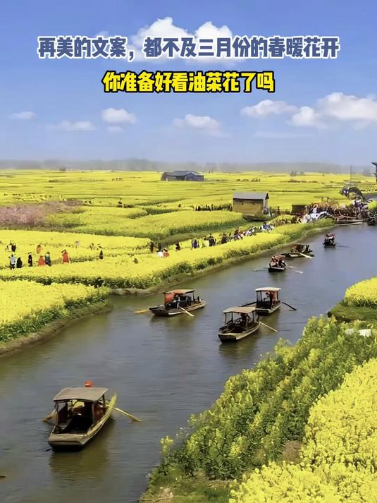 再美的文案,都不及三月份的春暖花开,你准备好看油菜花了吗#马上就出发#