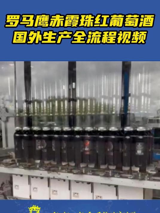 罗马鹰赤霞珠红葡萄酒国外生产全流程视频