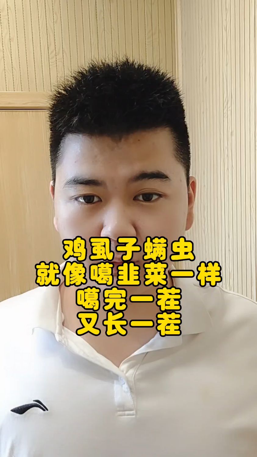#鸡舍的鸡虱子如何彻底清除大棚里的鸡虱子怎么消灭蛋鸡虱子怎么去除最快方法 #养鸡