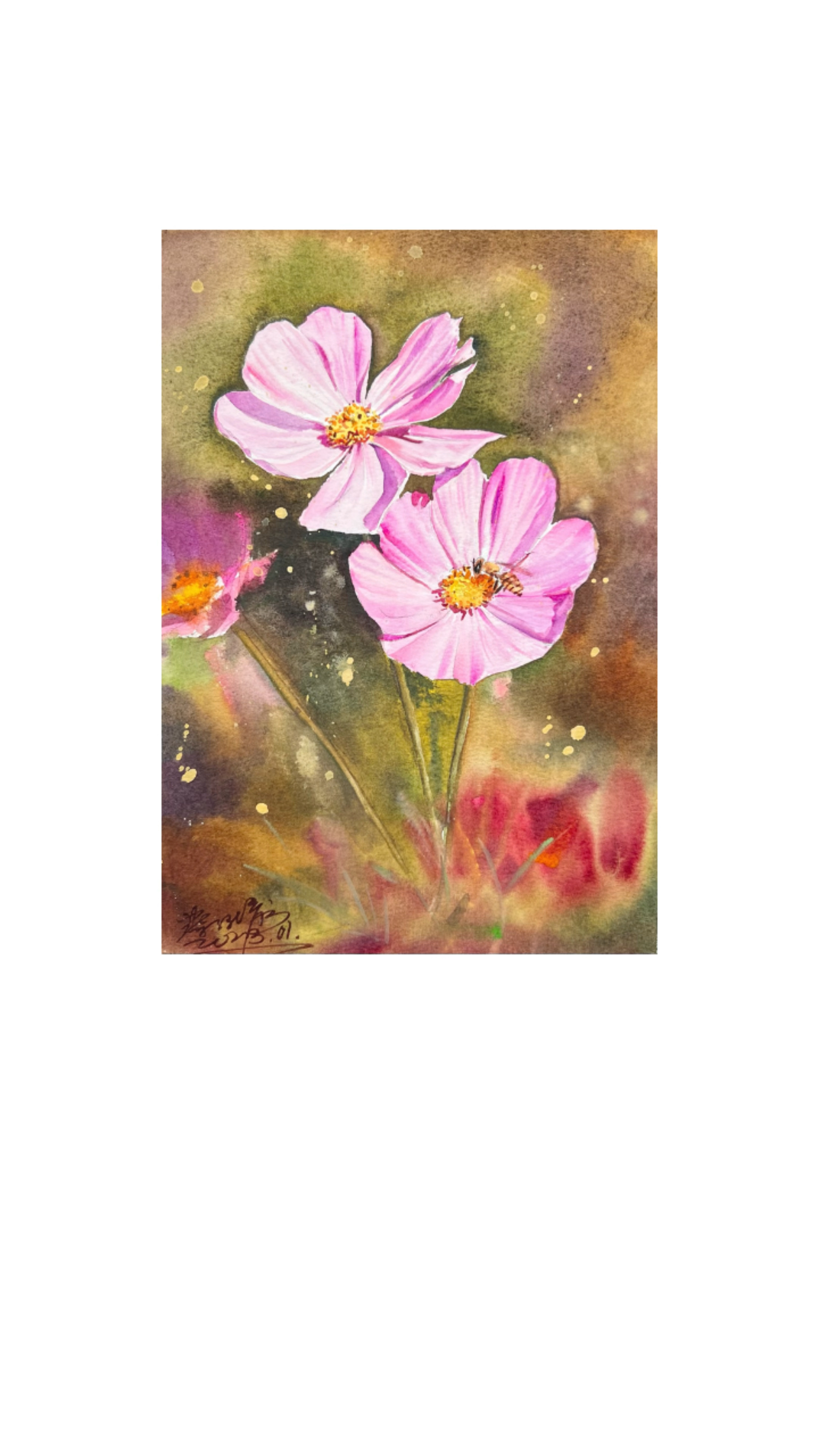 格桑花花语:珍惜眼前人!格桑花寓意:它是幸福的象征,是爱和吉祥的表达!
