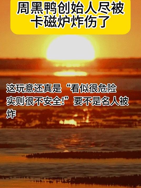 周黑鸭创始人尽被卡磁炉炸伤了