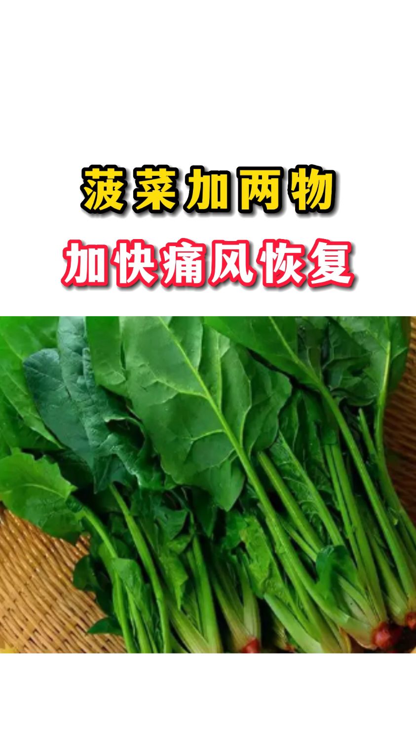 菠菜加两物,加快痛风恢复