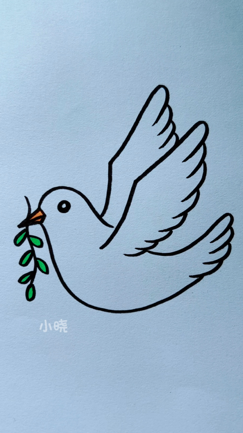 简笔画和平鸽