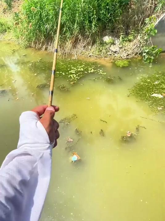 这村子的人都不吃鱼吗,太暴躁了,钓鱼