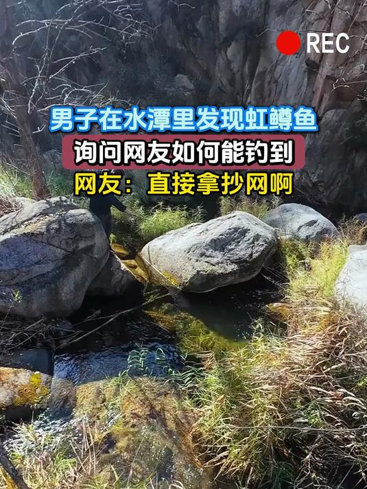 男子在水潭里发现虹鳟鱼,询问网友如何能钓到,网友:直接拿抄网啊