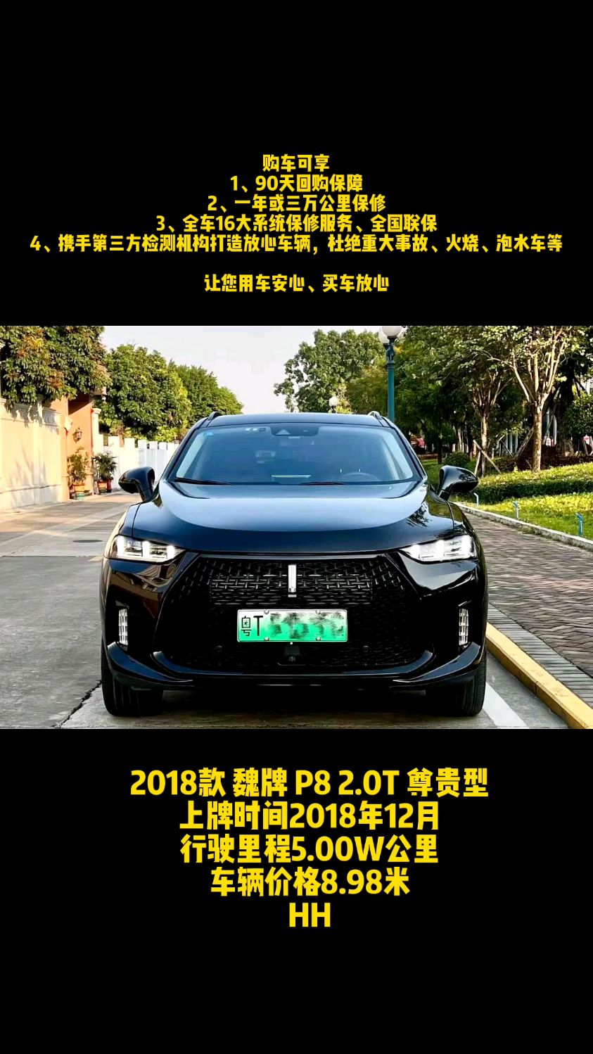 2018款 魏牌 P8 2.0T 尊贵型 HH