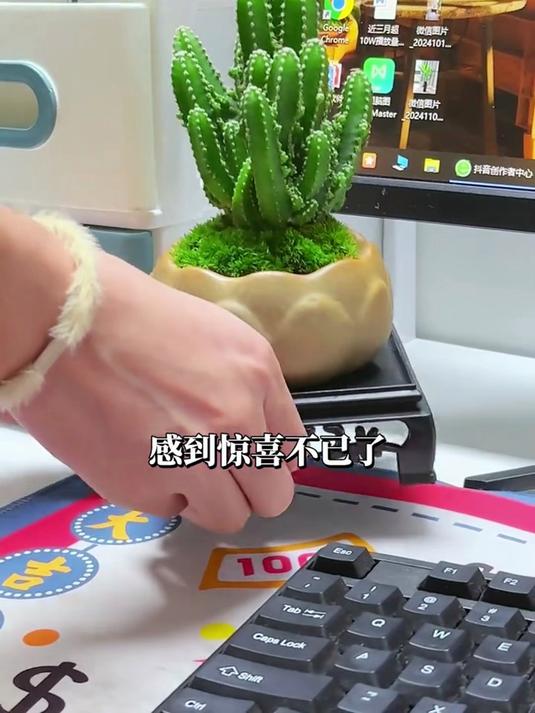 卧室缺点缀的,摆上万重山仙人掌,防辐射佳,增添自然清新感