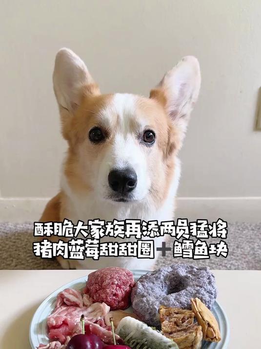 酥脆大家族再添两员猛将!猪肉甜甜圈鳕鱼块