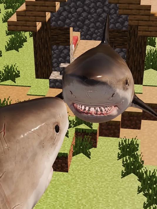 鲨鱼和怪物学习英语