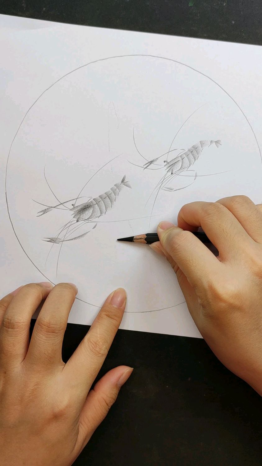 用炭笔画水墨风格的虾,你也试试吧