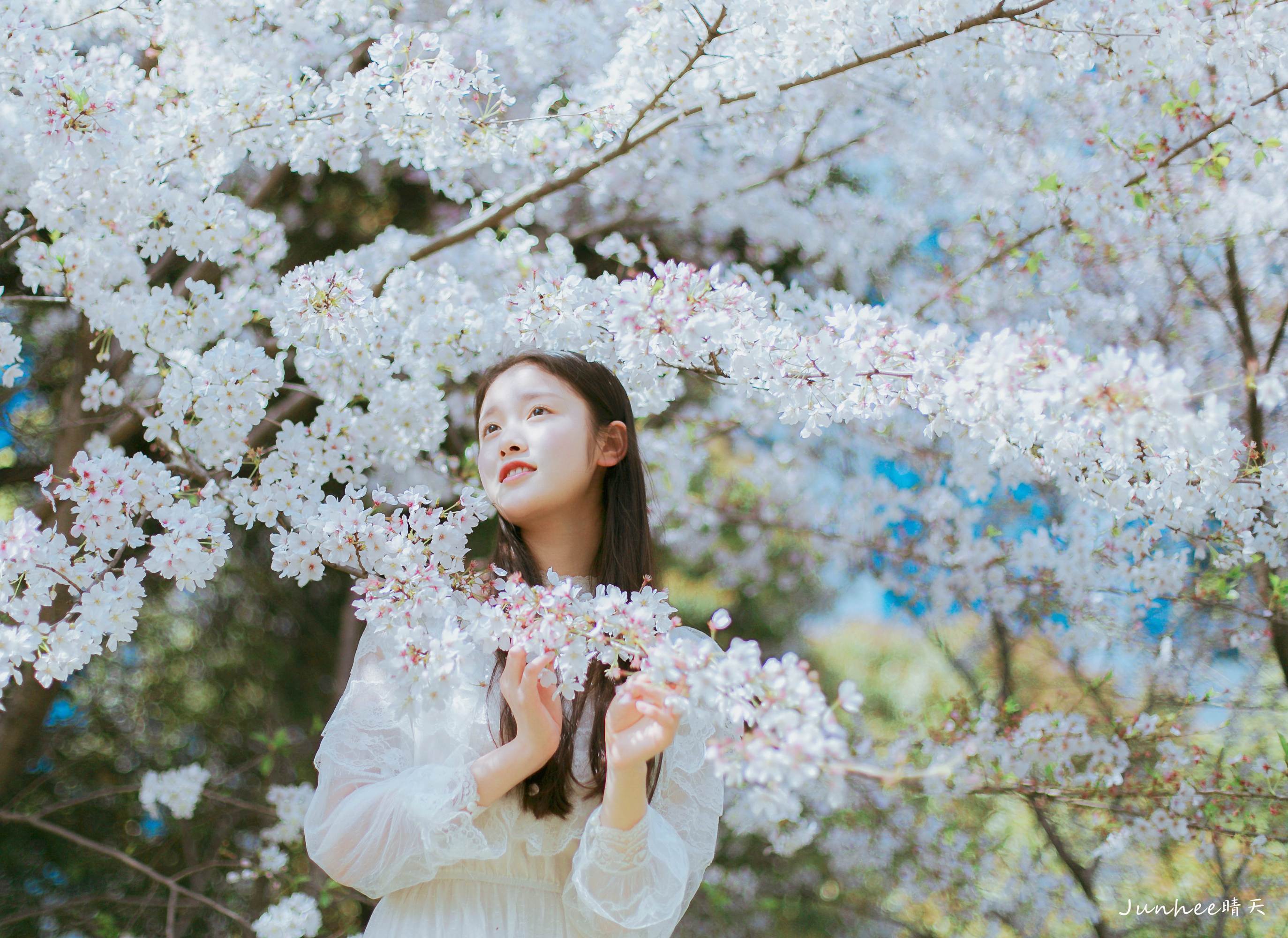 图片[4]-樱花面-六色网